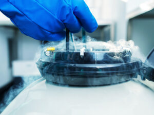 Sample Storage in test-tube laboratory