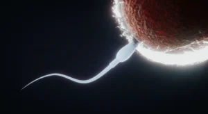 Sperm and egg. Natural fertilization. 3D rendering